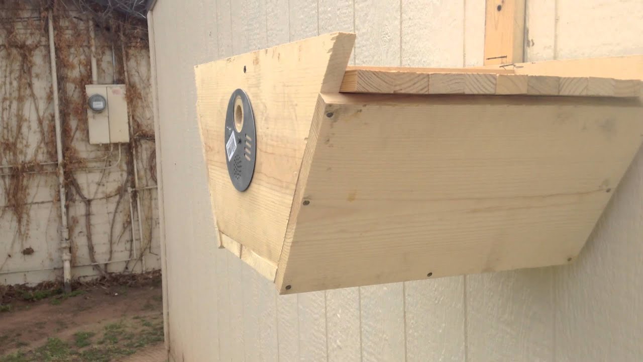 epic top bar beehive swarm trap