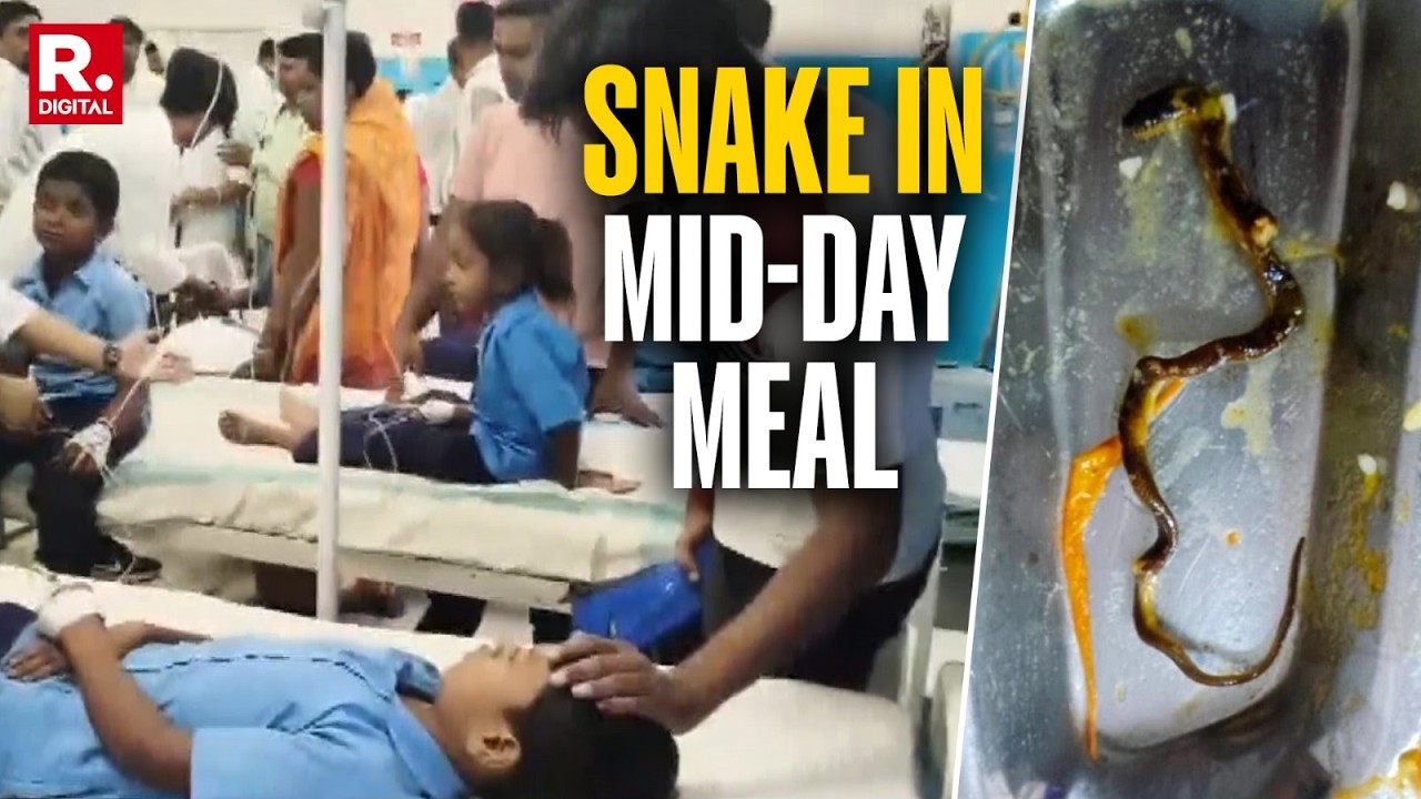 Snake Found in Bihar Govt School's Mid-Day Meal Sickens 250 Students | VIRAL VIDEO