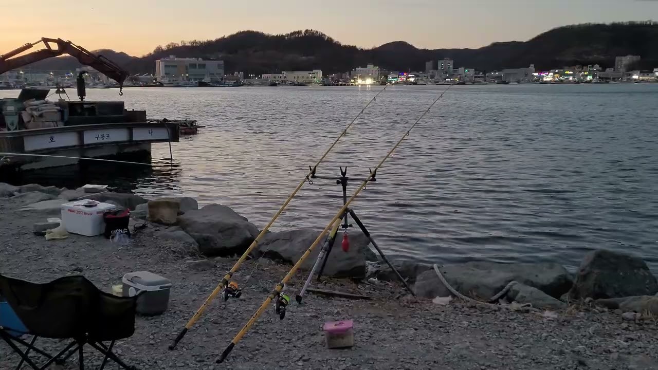 이 추운 날 구룡포 내항에서 4자가 나오다^^