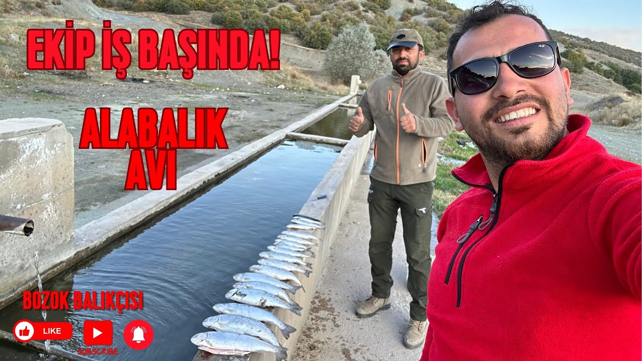 Çok Güzel Alabalıklar Yakaladık.! Muhteşem Ekip İş Başında.!