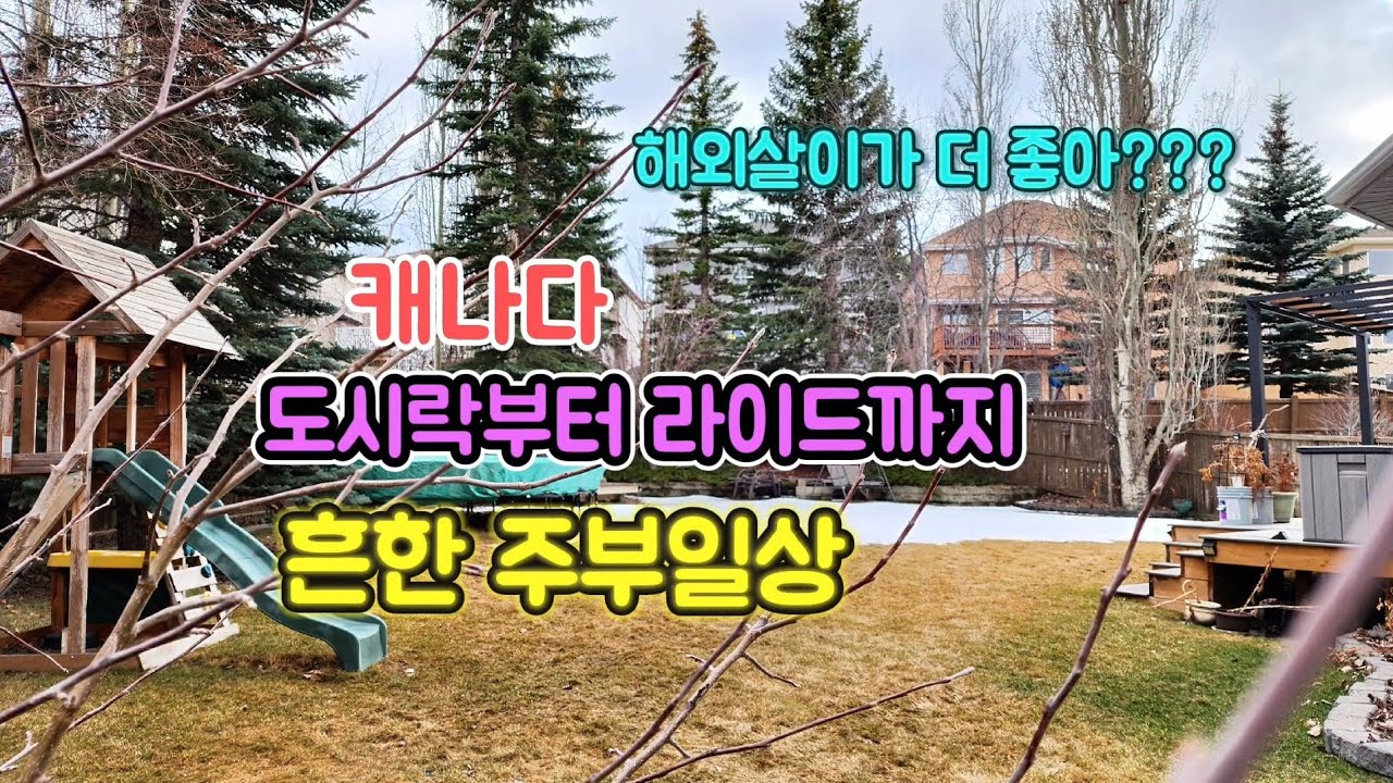 나간김에 모든 볼일을 다 보고 들어오는 발탄 강아지의 하루. #탕국 #항정살구이 #육개장