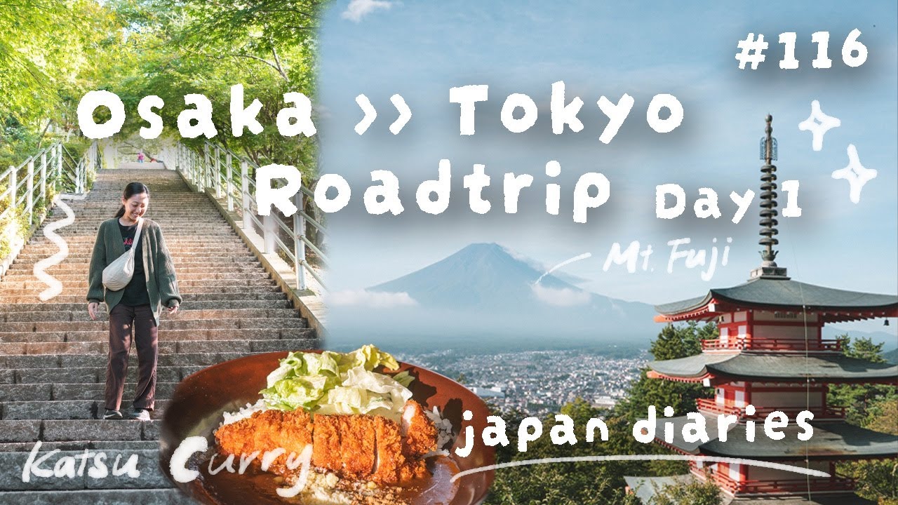 Day 1 - Roadtrip from Osaka to Tokyo/Chiba (last minute) | japan diaries | vlog #116