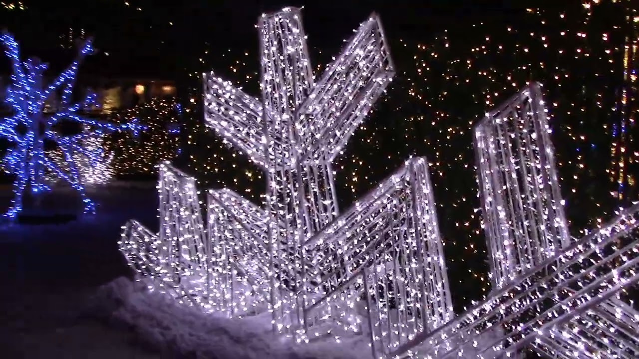 Enchant San Jose - The Worlds Largest Christmas Light Maze