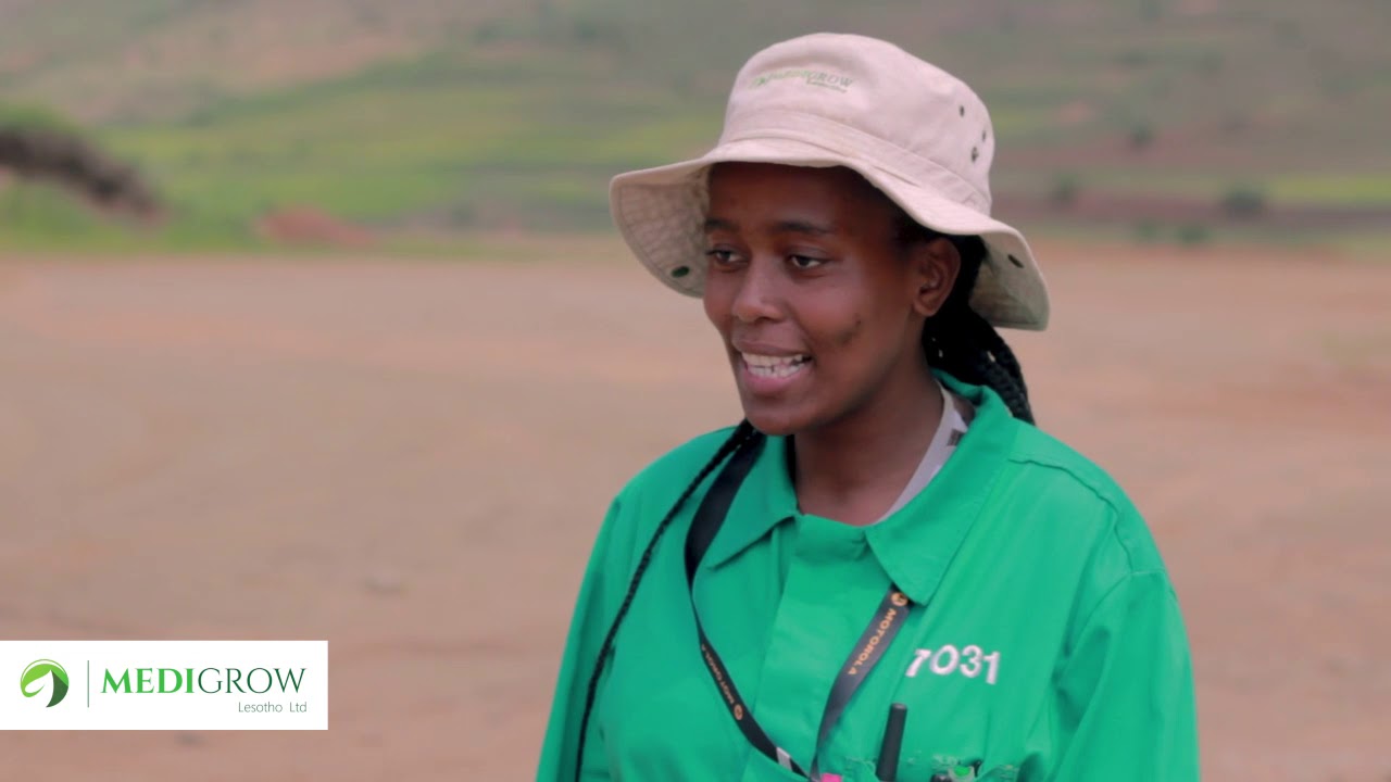 Medigrow Lesotho