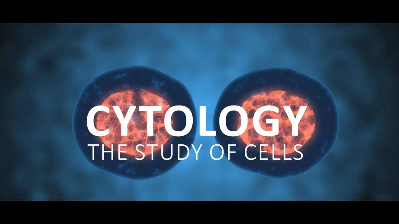 Consider A Career in Cytology