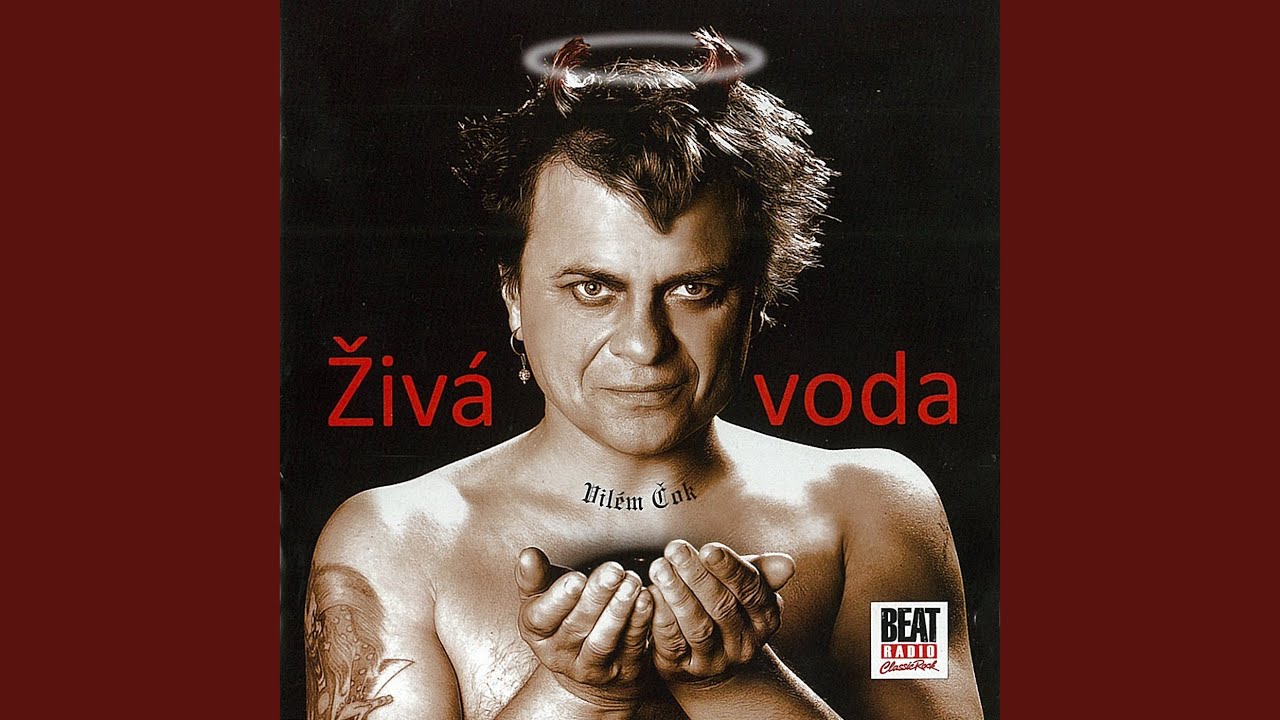 Dokonalá žena