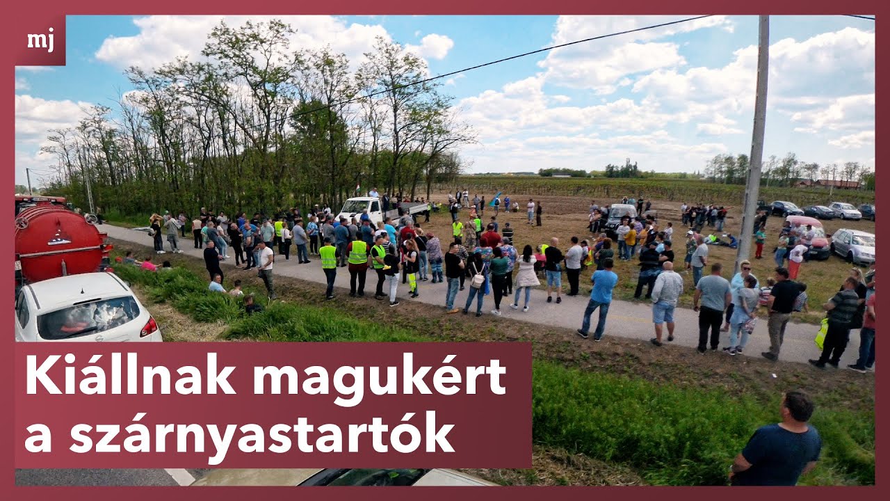 Útlezárással tiltakoztak a kormány ellen a feldühödött szárnyastartók