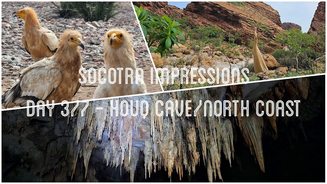 Impressions from Socotra - Day 3 of 7 - North Coast and hiking to Houq Cave