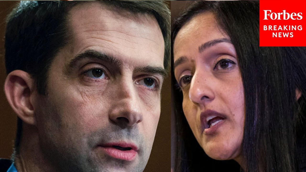 TENSE QUESTIONING: Tom Cotton asks Vanita Gupta: 