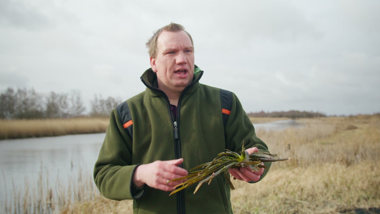Natuurontwikkeling De Weerribben #maaiboot