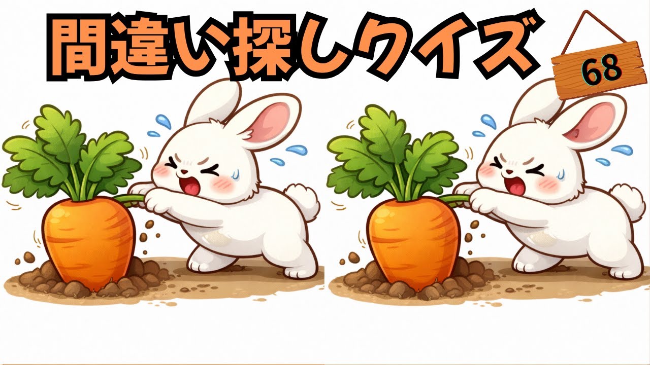 【間違い探しクイズ】動物集合：No.68　最後は難問‼️　記憶力×記憶力UPで脳を活性化💡