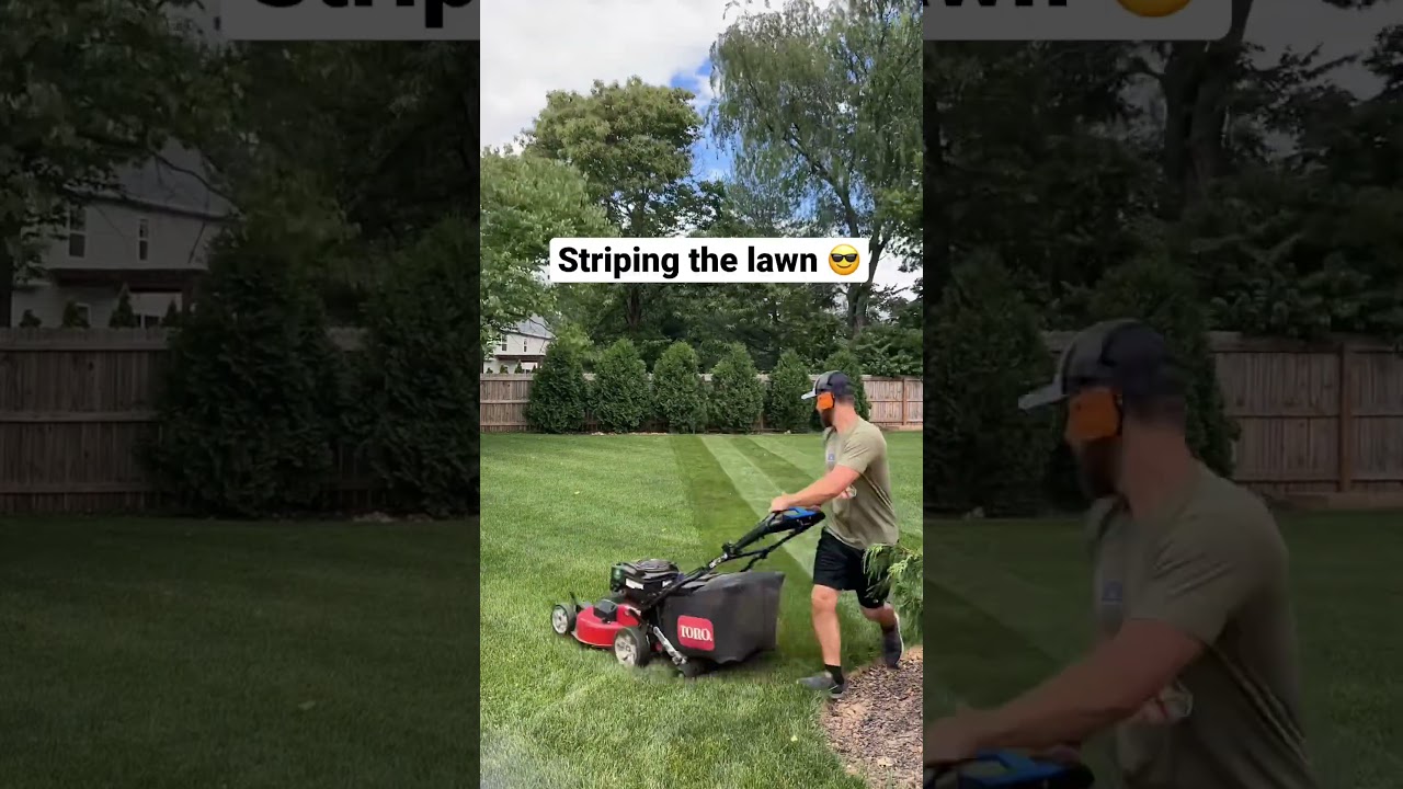 #satisfying #oddlysatisfying #lawn #stripes #beforeandafter #diy #grass #mowing #spring