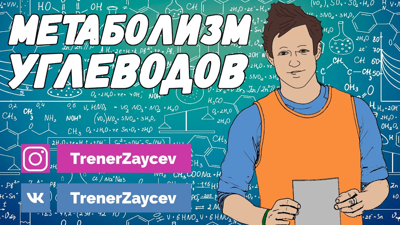 01. Метаболизм углеводов