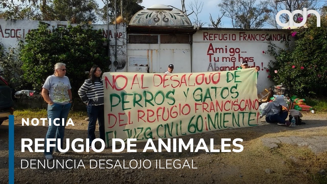 Esto sabemos del desalojo en el Refugio Franciscano de perros y gatos en Cuajimalpa, CDMX