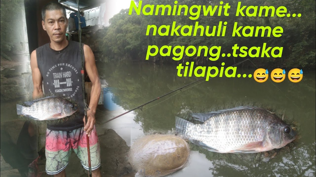 Namingwit kame daming huli tilapia tsaka pagong