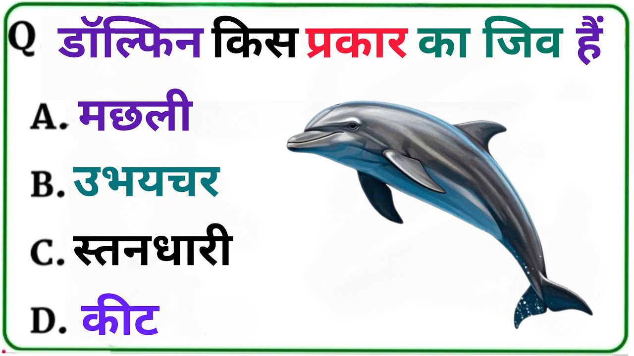 Gk Question|Gk Question And Answer|Gk in Hindi|Gk knowledge|MS GK STUDY 777 