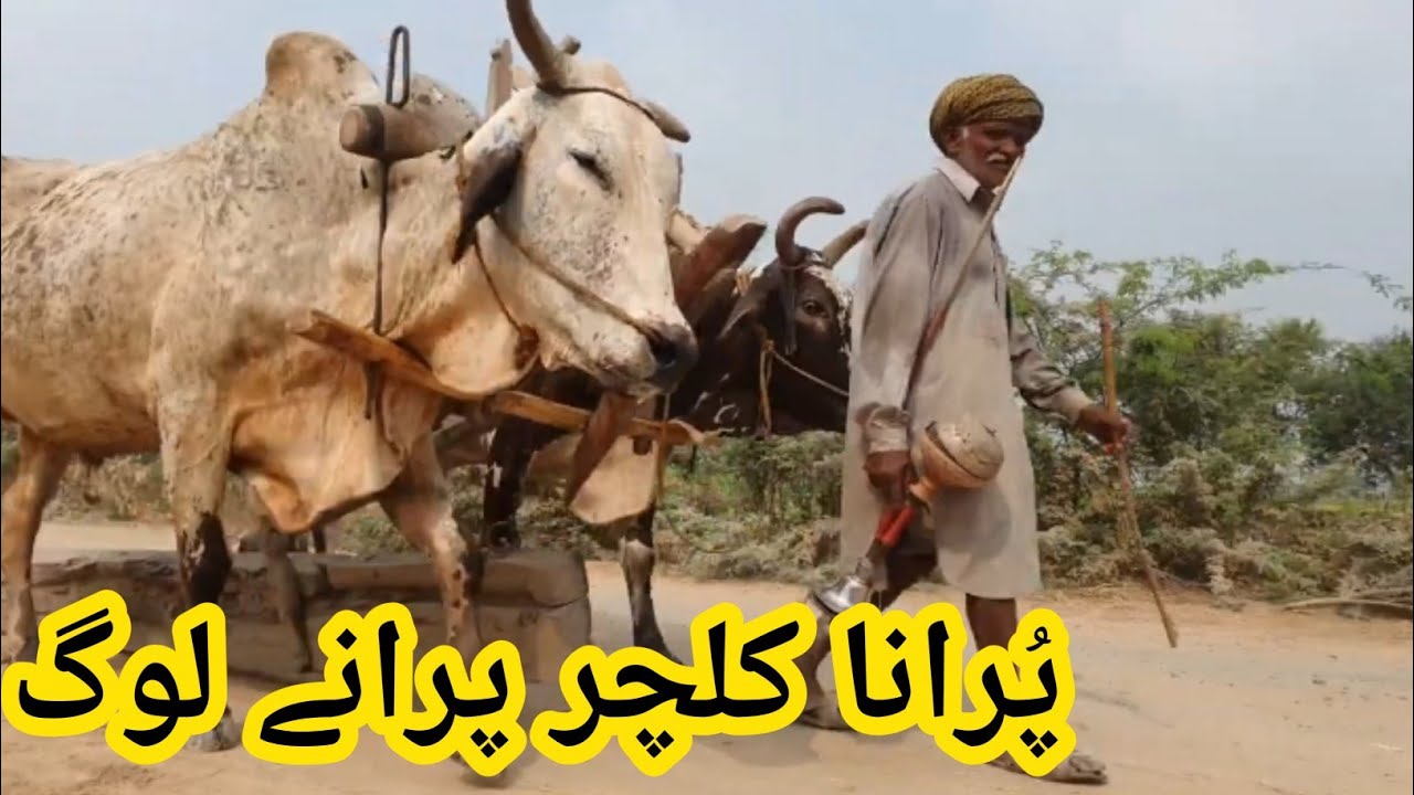 Purana kalchar purane log || Porane logon ke gaaon || Old batain gold log