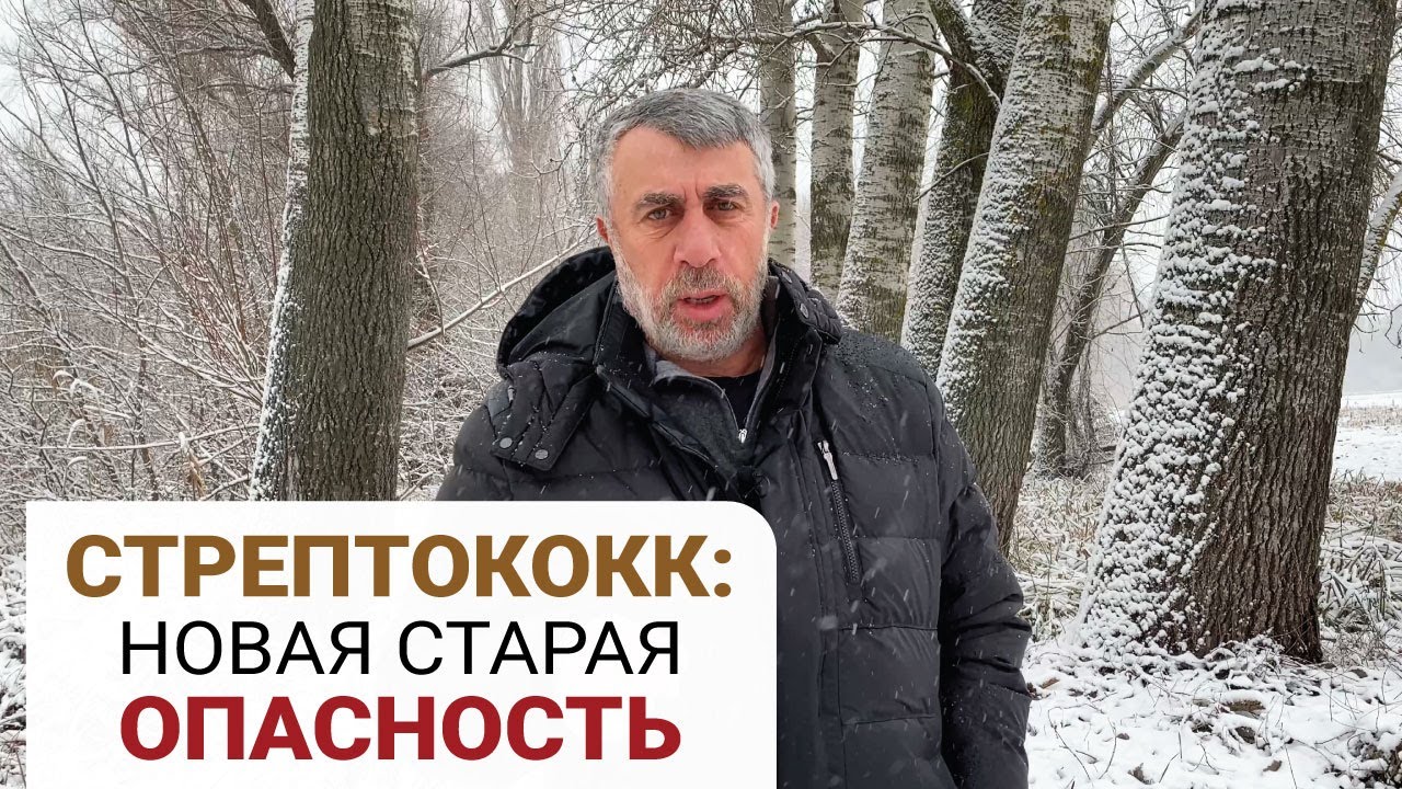 Стрептококк: новая старая опасность (English subs)
