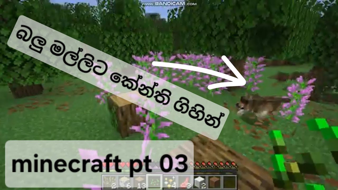 minecraft pt 03