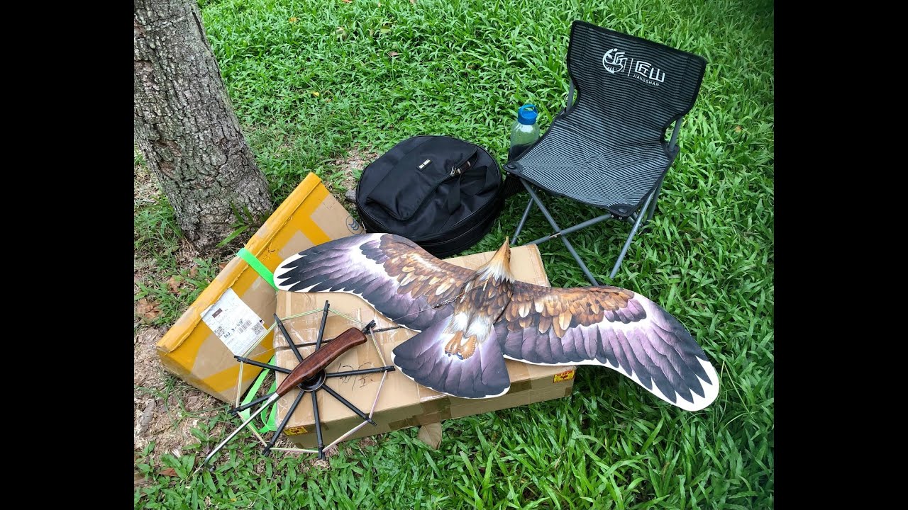 Flying my Steppe Eagle Kite -  Video 66