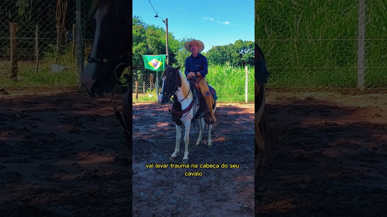 como segurar a redea do cavalo para n&atilde;o estragar a boca do cavalo