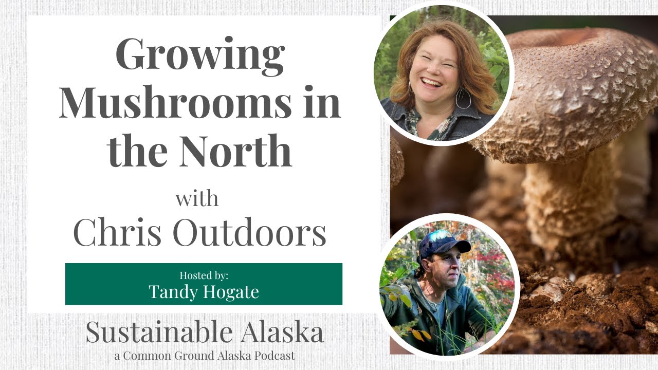 Growing Mushrooms in the North with Chris Outdoors