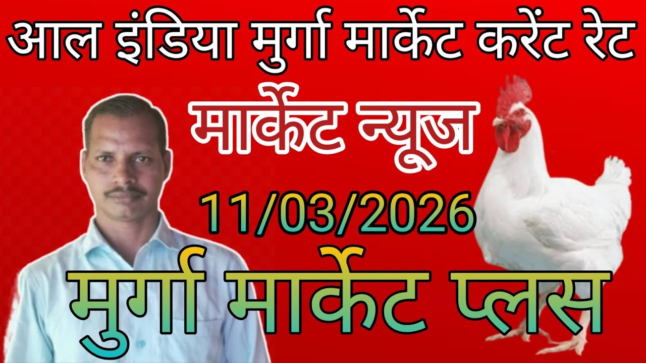 Poultry rate today in up/Poultry rate today/Poultry rate near me/Poultry rate per/Daily poultry rate