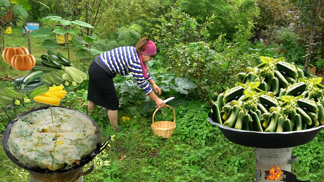 Harvesting Zucchini - Unusual Zucchini Jam Recipe From Azerbaijani Cooking Lady