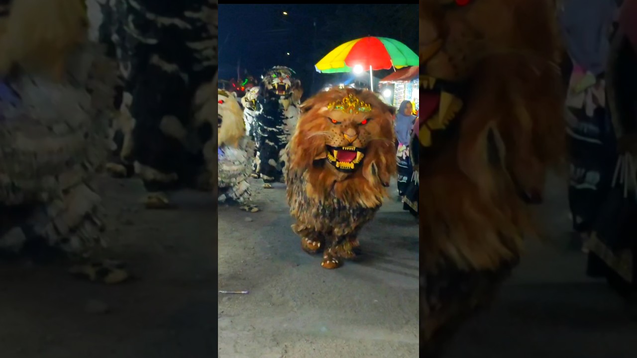 Atraksi can macanan Singo Raung