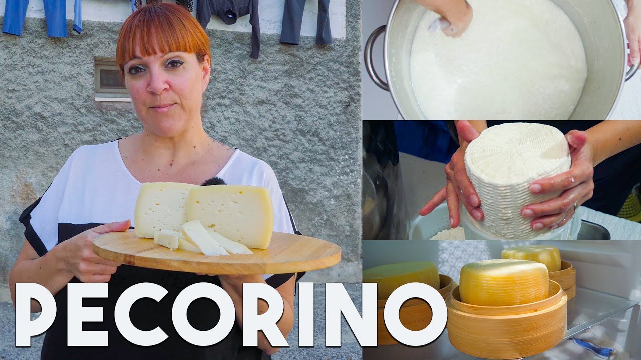 How to Make PECORINO CHEESE at Home Like an Italian CheeseMaker