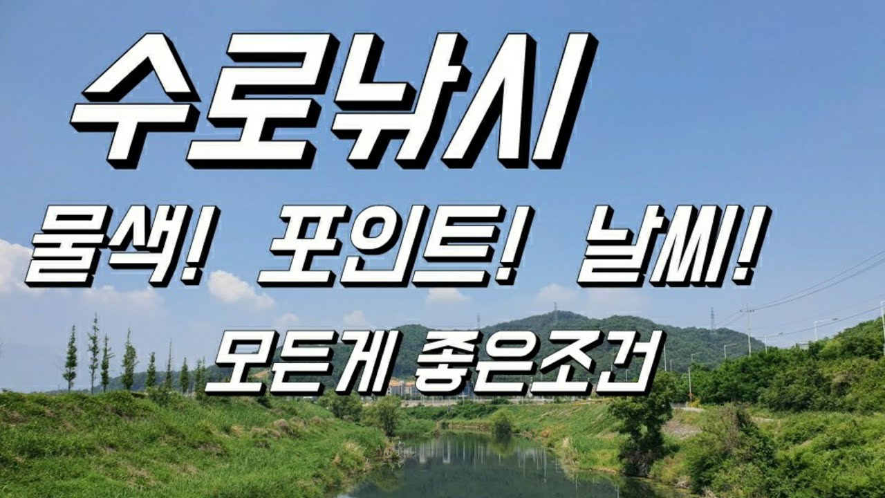 수로낚시 / 글루텐 미끼 / 옥수수 미끼 / Waterway fishing / Gluten bait / Cor bait