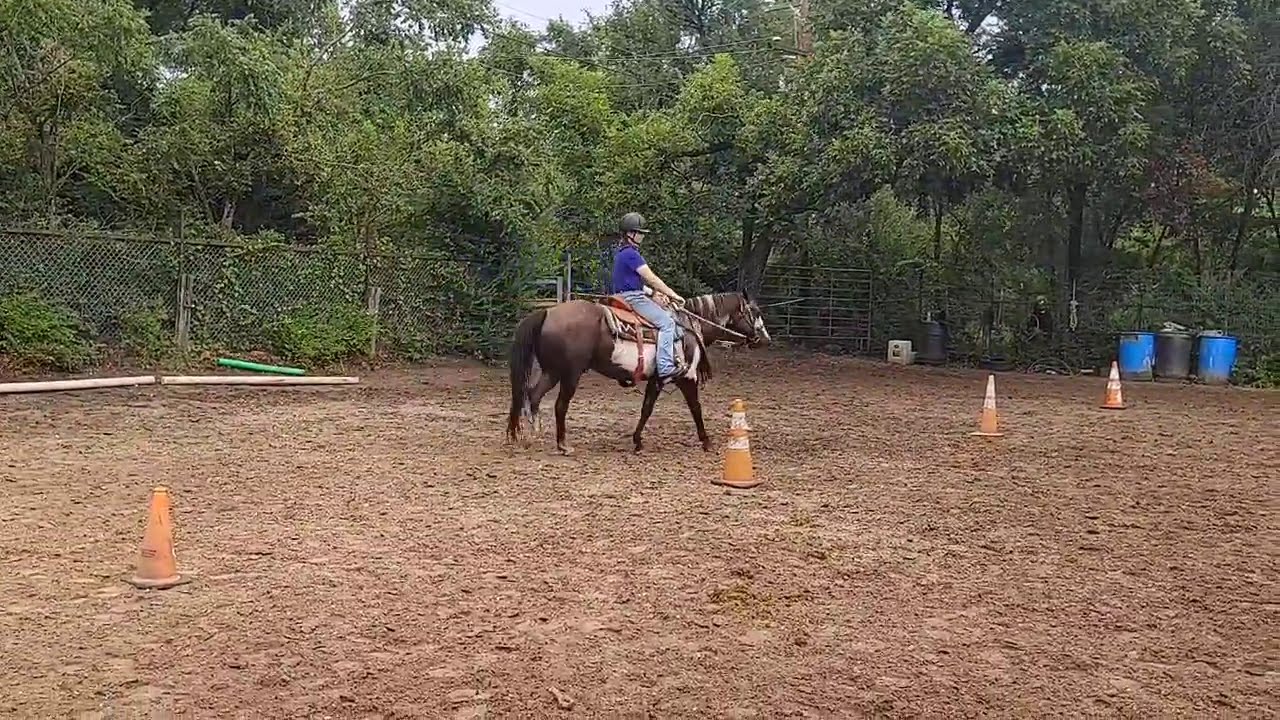 Rider leg pressure control drill - 4 cones at a walk