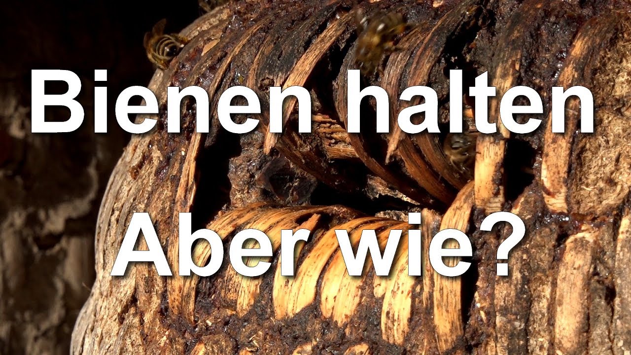 Bienen halten - Imker werden - Aber wie? Natur erhalten - Bienensterben - Rettet die Bienen
