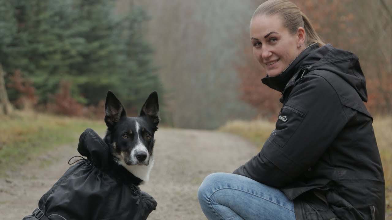 Gør din hund af andre hunde på gåturen? Det her kan du gøre!