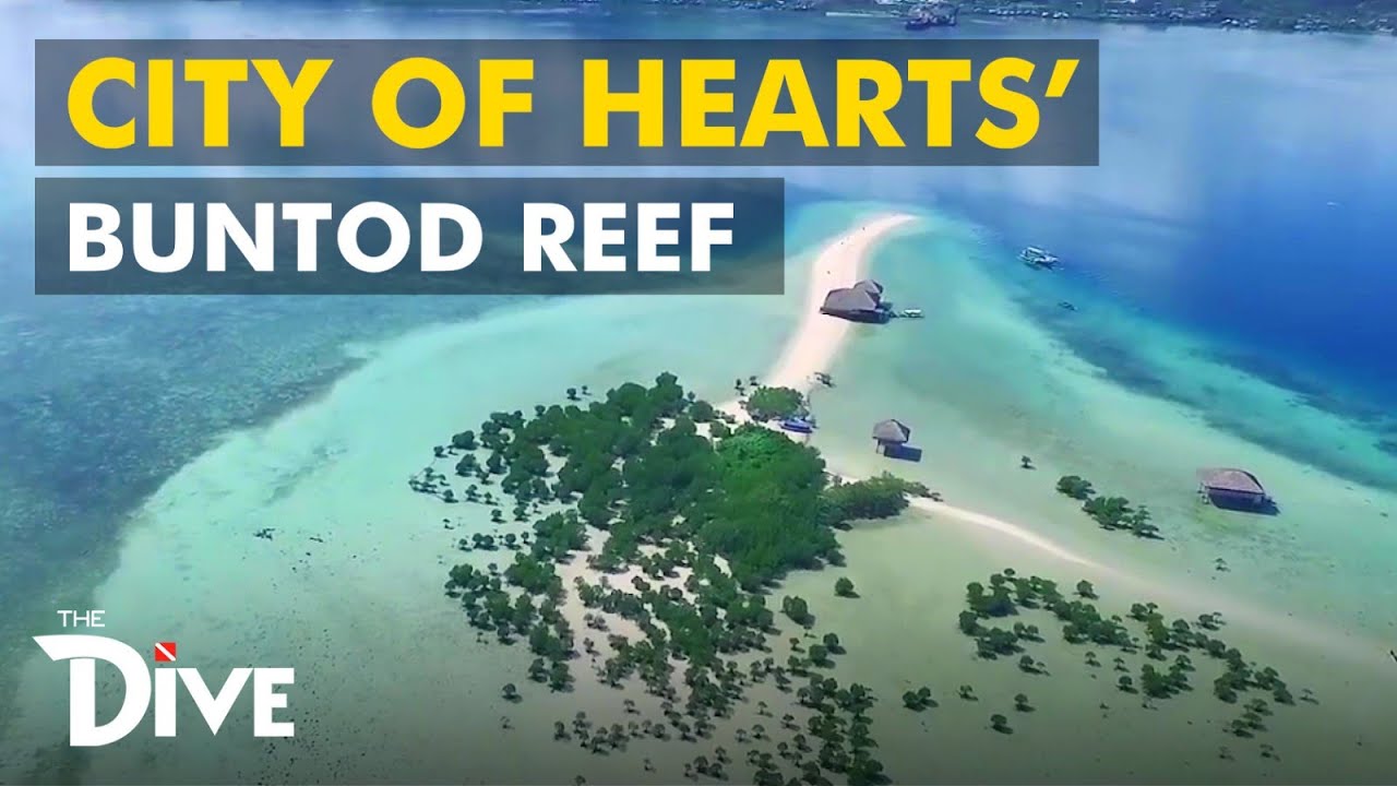 Throwback Dive at the City of Hearts’ Buntod Reef  | THE DIVE