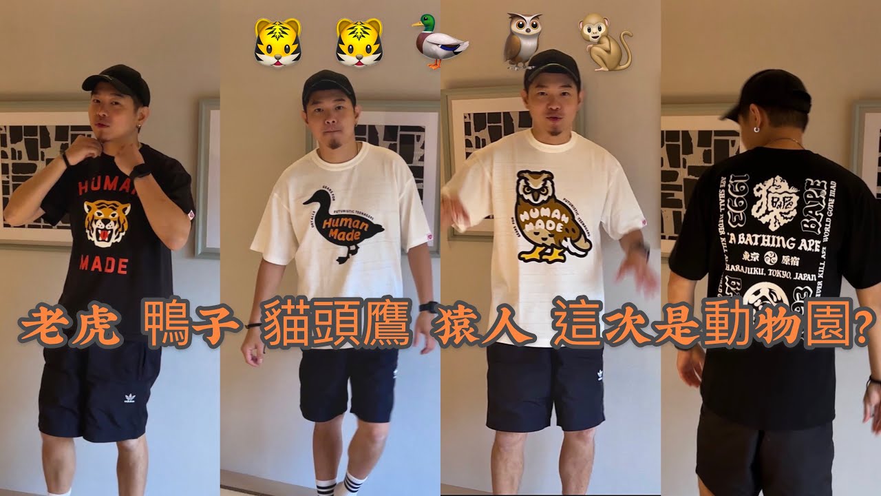 動物園嗎？東京澀谷開箱二部曲 HUMAN MADE GRAPHIC Tiger ,Duck ,Owl & BAPE JAPAN CULTURE LETTERED T-SHIRT x 5件開箱