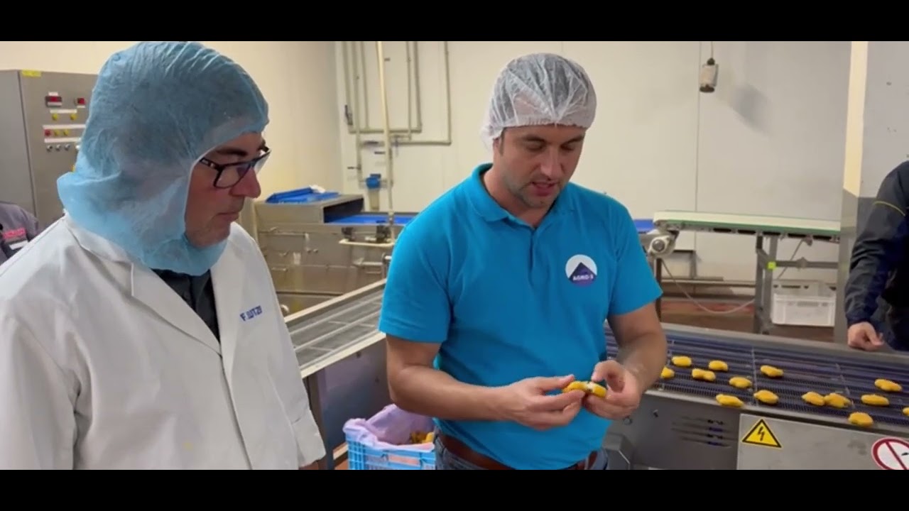 Лінія виробництва готових обсмажених продуктів Schomaker