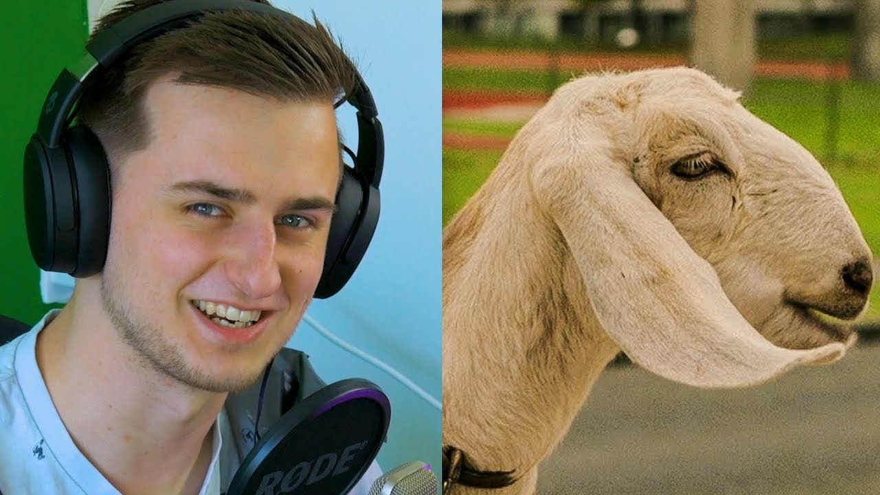 huts! deze straattaal woorden MOET je kennen a niffauws - egbert reacting