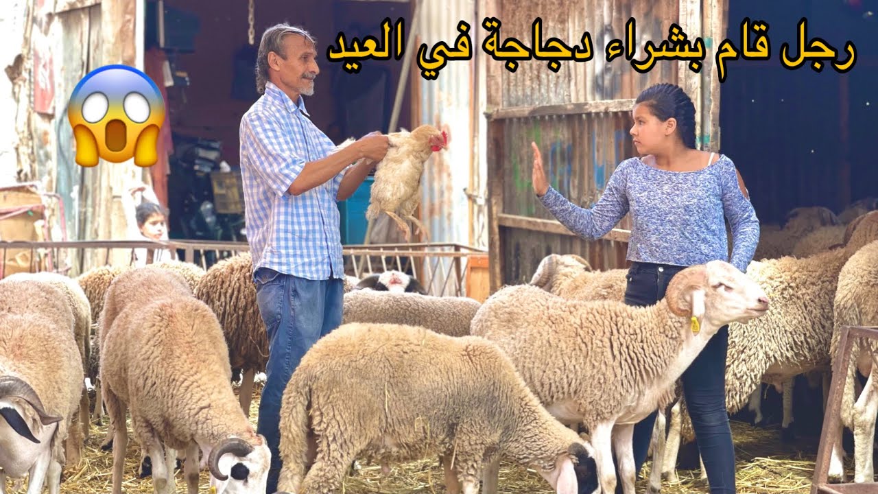 رجل عجوز لم يستطع شراء حولي فقام بشراء دجاجة🐓 في العيد الأضحى للأولده...(لكن الله موجود)