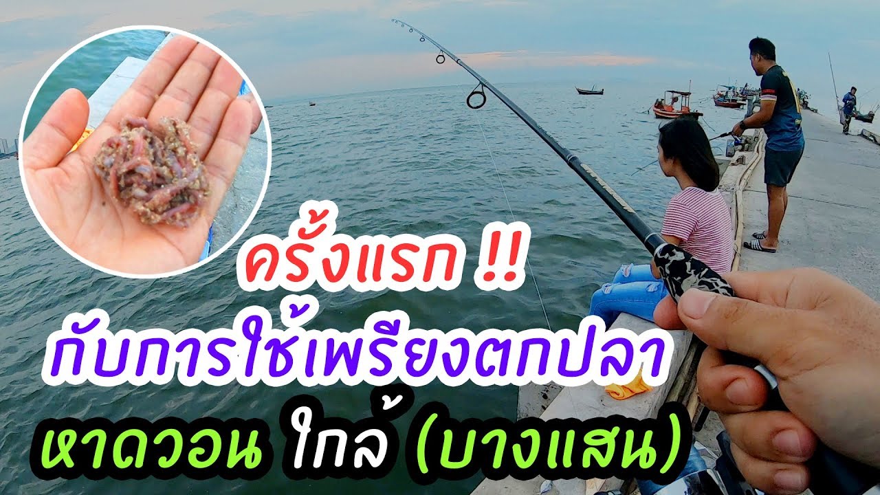 ใช้เพรียงทรายตกปลาทะเลครั้งแรก ที่หาดวอน  ( ขอบคุณน้าสายตกที่แบ่งปันให้ได้ลองใช้ครับ )