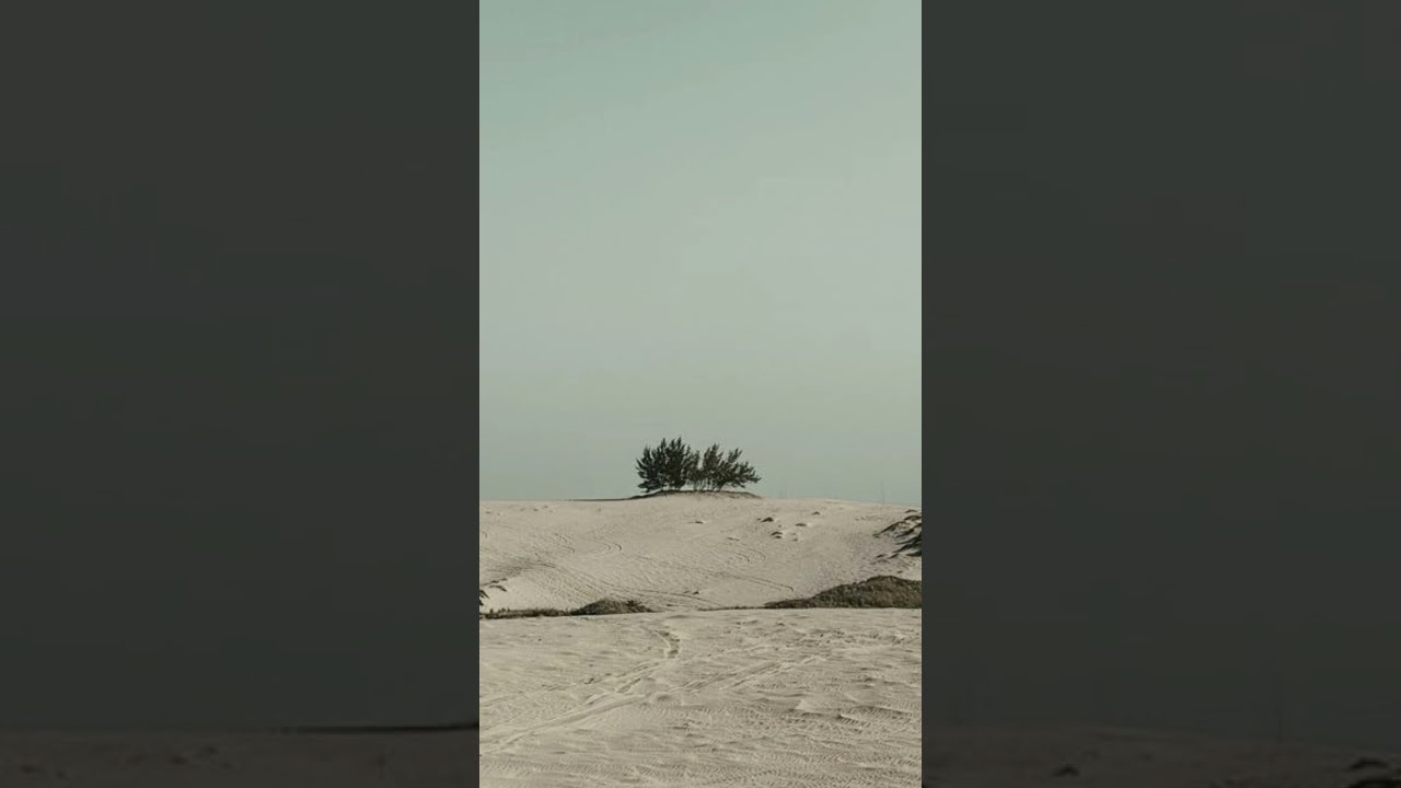 arabic music beautiful desert , stress relief music #short