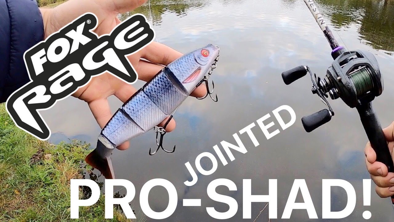 Pike Fishing with the Fox Rage Jointed Proshad! (new lure 2020 review)