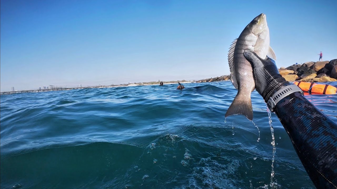 SPEARFISHING Catch & Cook at The Spit | My Most Successful Catch Yet!