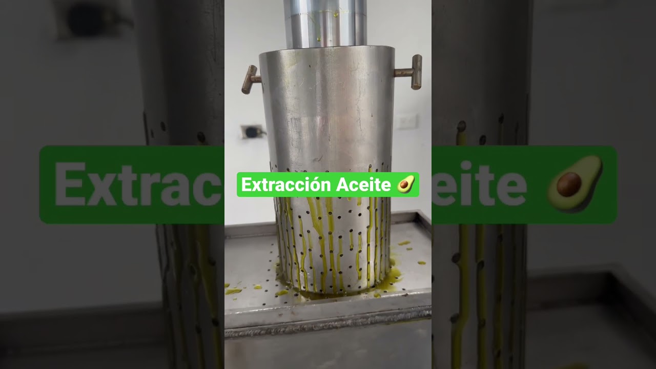 Extracci&oacute;n Aceite Extra Virgen de Aguacate La Mejor Calidad 🥑