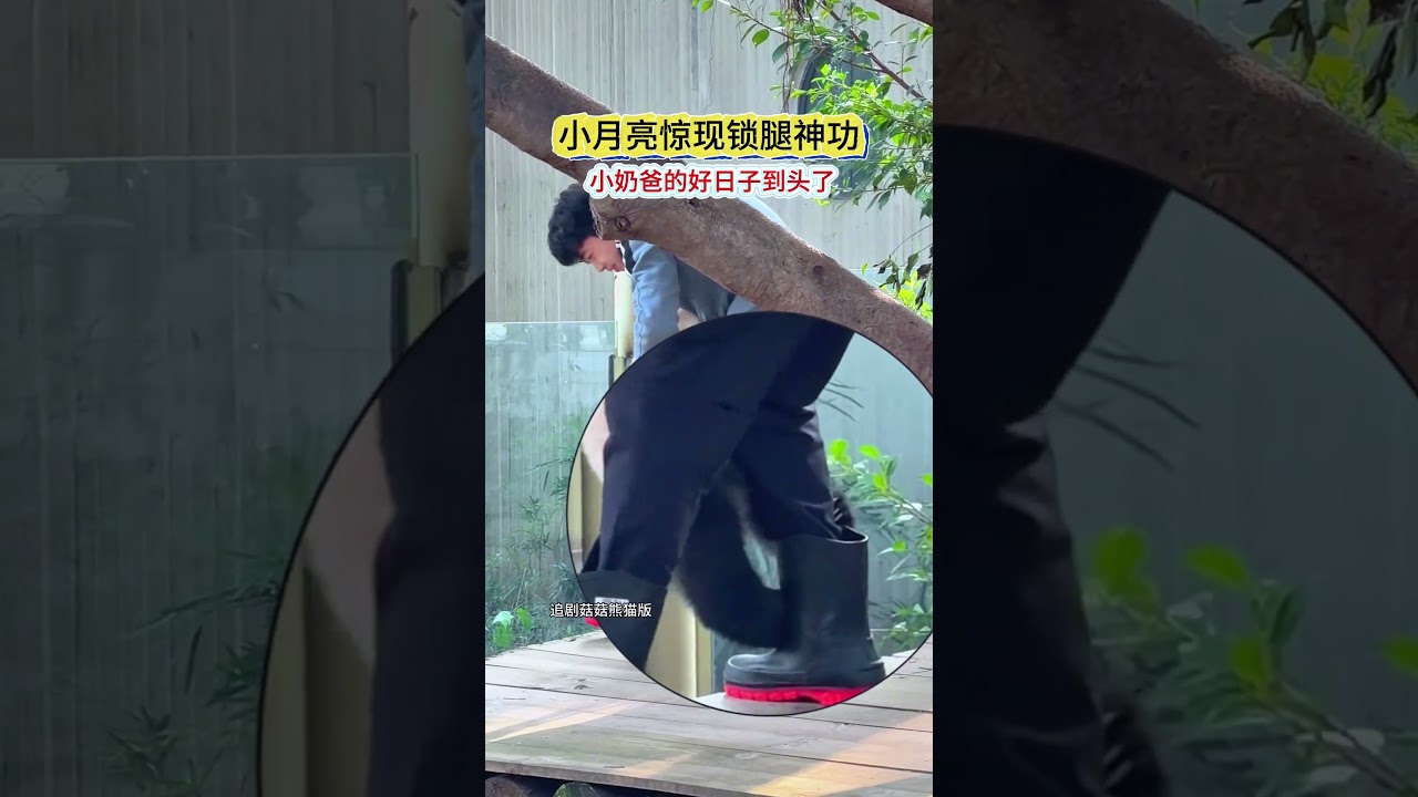 1.9 Little Moon suddenly showed off her leg-locking magic skill. It s getting harder and h