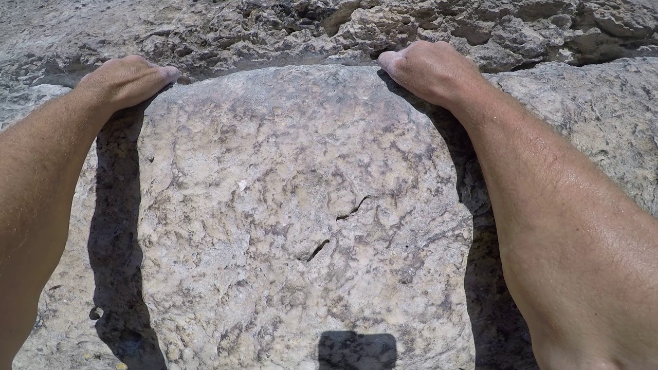 Płyta Sasa VI.1 cała droga