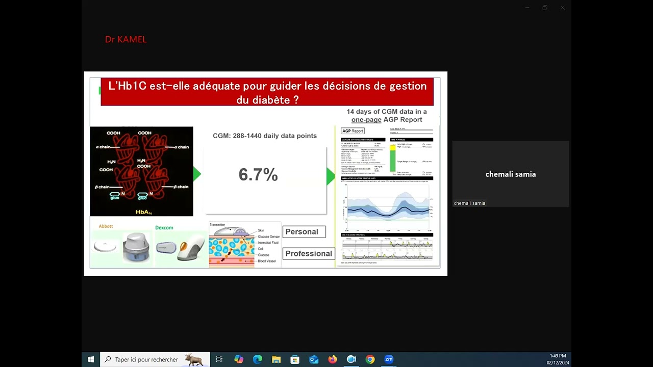La Variabilite glycemique  facteur de risque majeur des hypoglycemies Pr Samiaa Chemali01 dec 2024