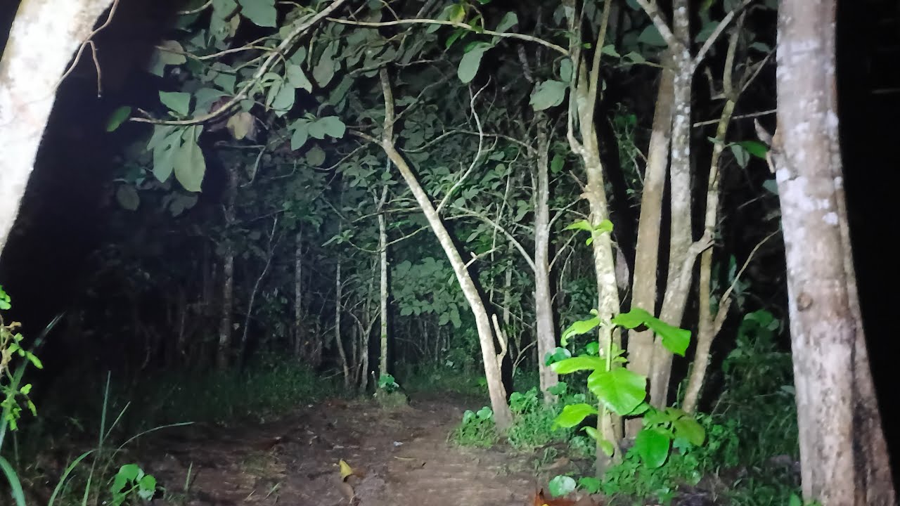 [LIVE] MISTERI DUKUN SANTET PEMUJA TUYUL