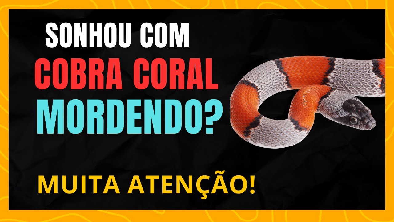 SONHAR COM COBRA CORAL MORDENDO - SAIBA JÁ O SIGNIFICADO
