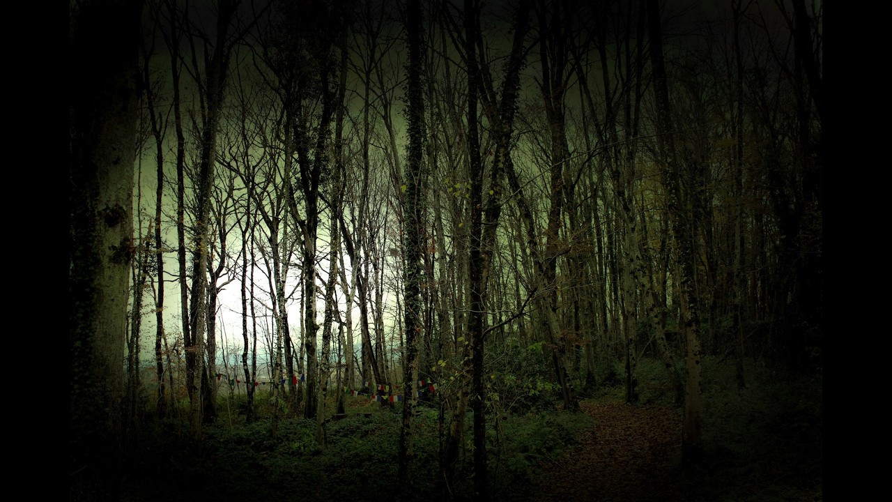 Forêt vivante